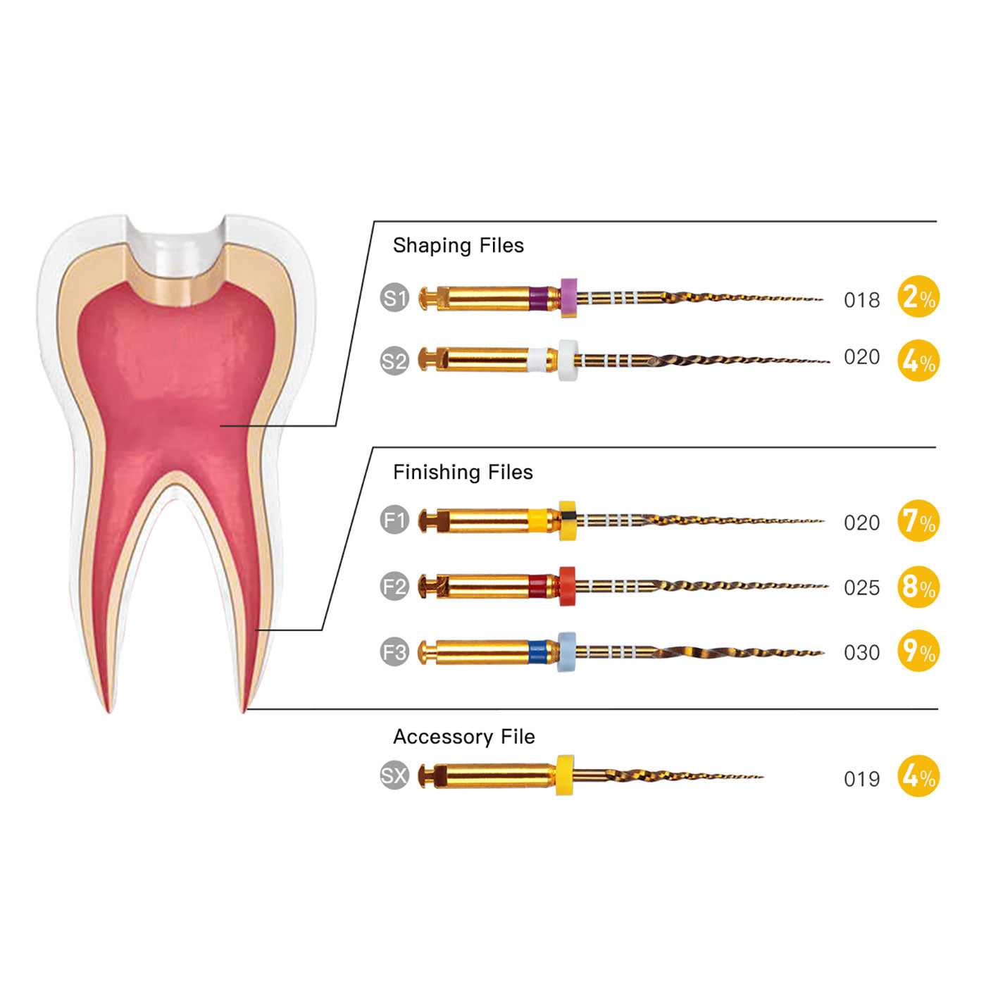 AZDENT Dental NiTi Protaper Rotary Engine Files 25mm Assorted SX-F3 Gold Taper 6pcs/Pk-azdentall.com