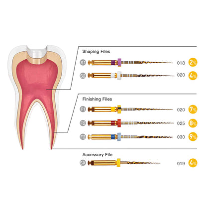 AZDENT Dental NiTi Protaper Rotary Engine Files 25mm Assorted SX-F3 Gold Taper 6pcs/Pk-azdentall.com